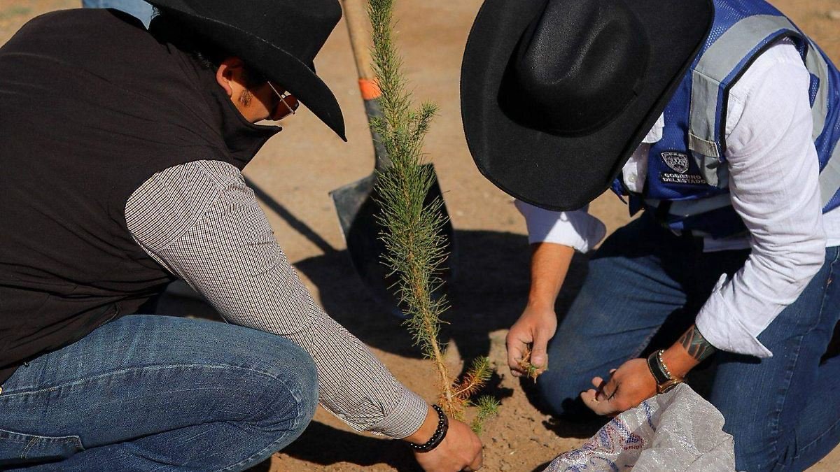 Ciudad Juárez Impulsa la Biodiversidad: Reforestación con 35 Especies Nativas en el Parque Central